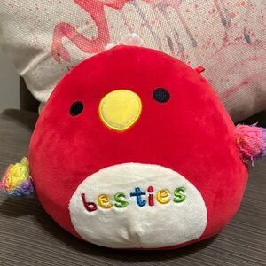 Paco the parrot Squishmallow